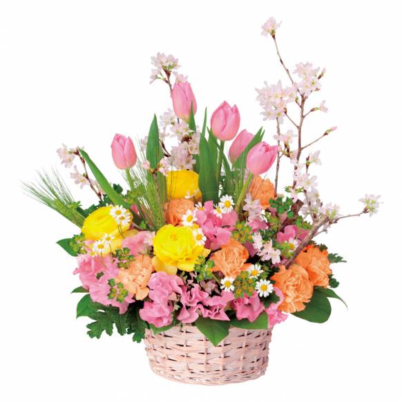 商品一覧の花 | 大阪府摂津市の花屋 フラワーショップ摂にフラワー